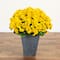 33" UV Resistant Artificial Geranium Plant in Slate Ceramic Planter (Indoor/Outdoor)